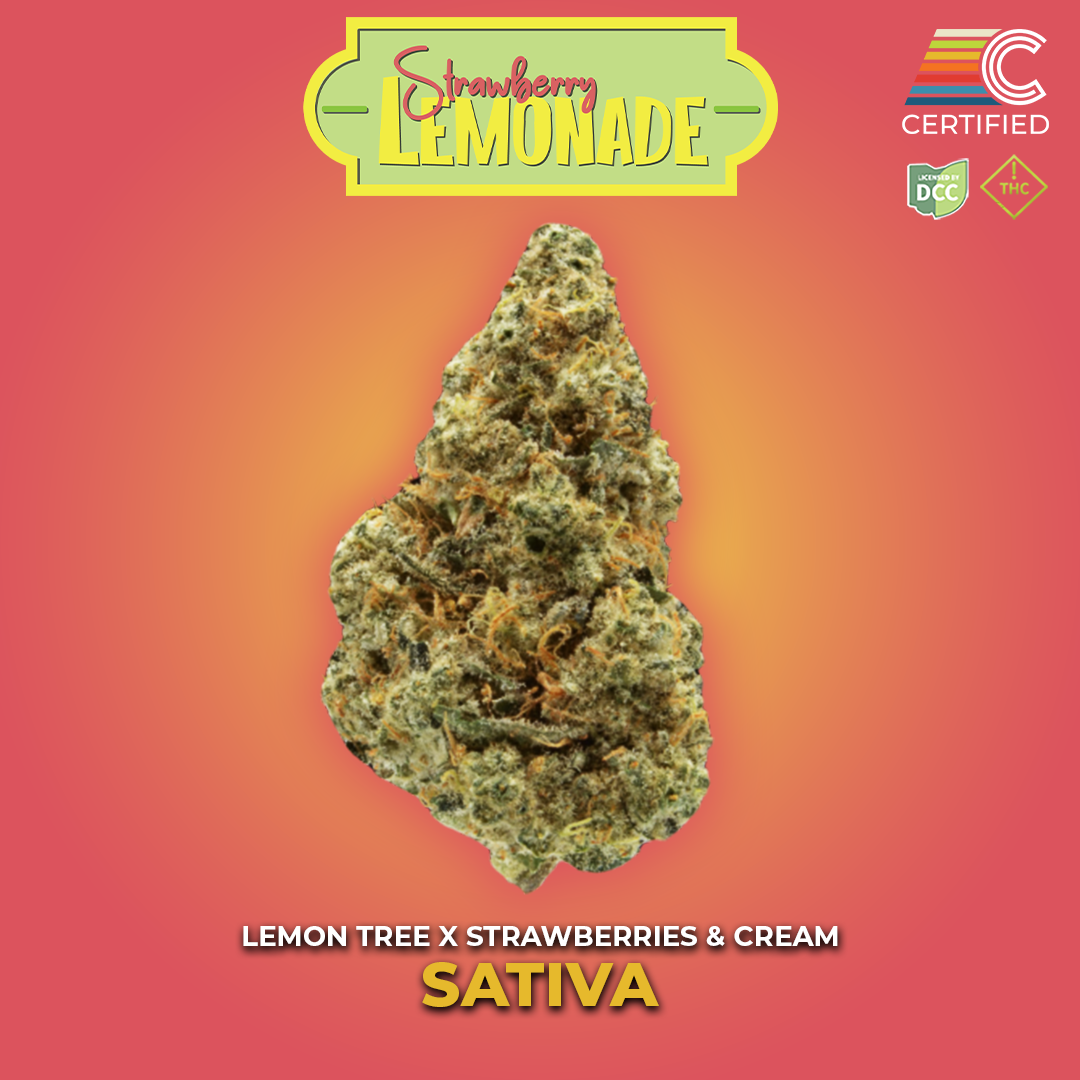 Sour Tangie Strain | Sativa Cannabis Flower | CERTIFIED
